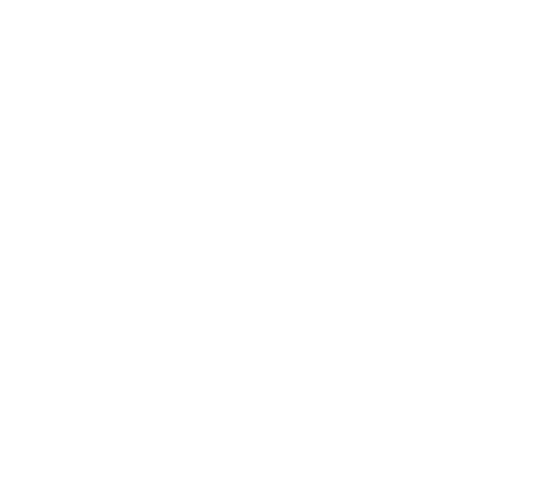 ecole minniti logo (1)