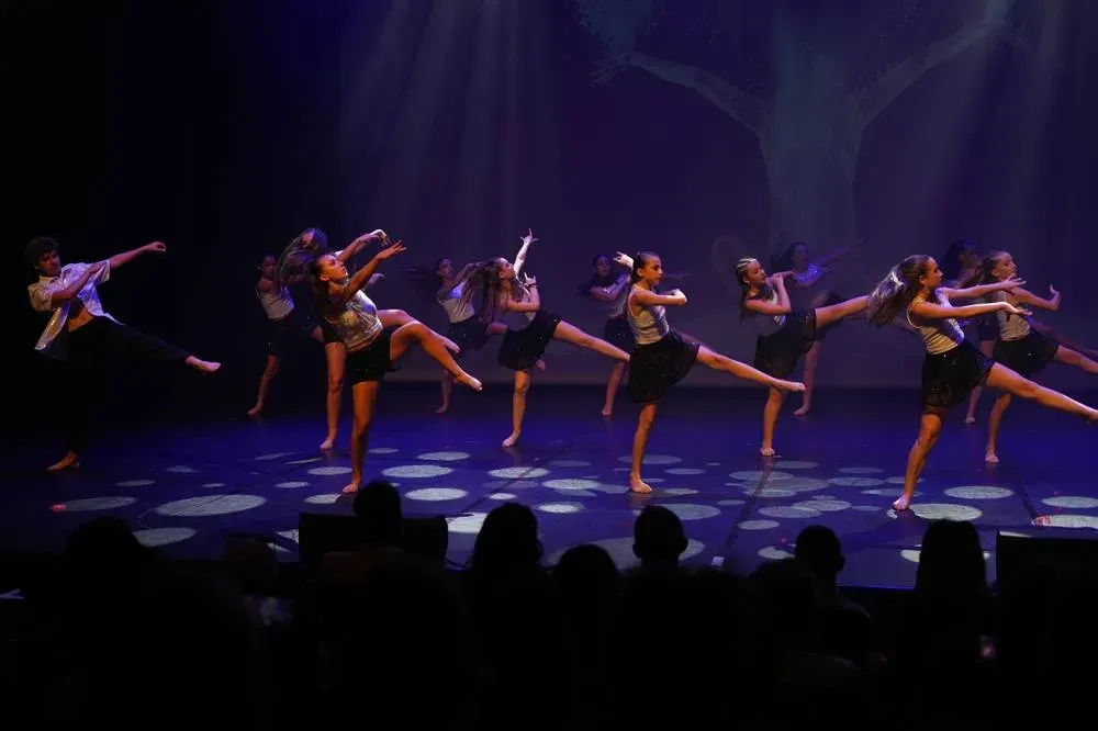 cours de danse minniti (3)