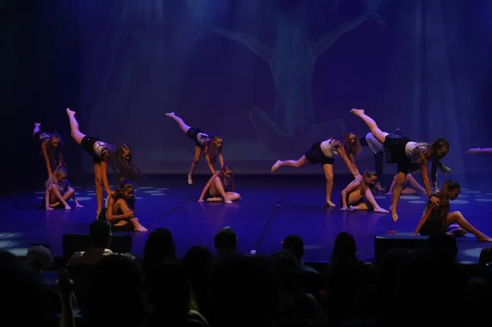 cours de danse minniti (5)